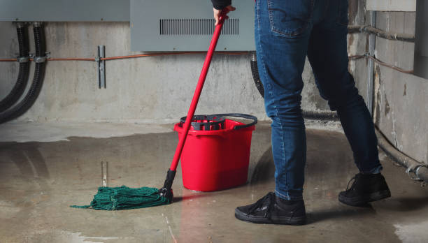 Best Water damage restoration mold remediation  in Stevenson Ranch, CA